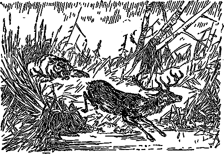 Борьба за огонь (с илл.) i_009.png
