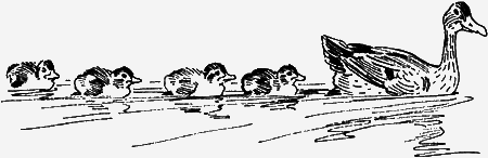 Мои питомцы и другие звери img33.png
