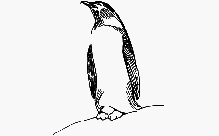 Мои питомцы и другие звери img40.png