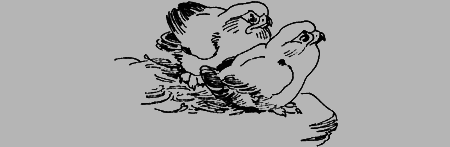 Мои питомцы и другие звери img46.png