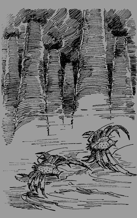 Мои питомцы и другие звери img54.png