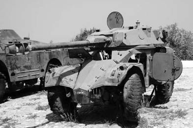 Современная Африка. Войны и оружие (2-е изд.) pic_16.jpg