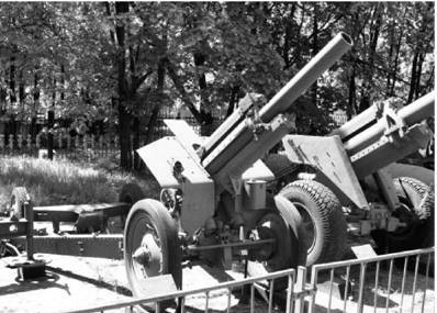 Современная Африка. Войны и оружие (2-е изд.) pic_30.jpg