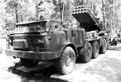 Современная Африка. Войны и оружие (2-е изд.) pic_44.jpg