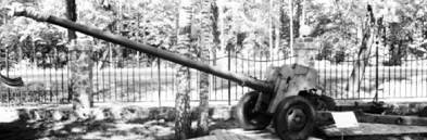 Современная Африка. Войны и оружие (2-е изд.) pic_61.jpg