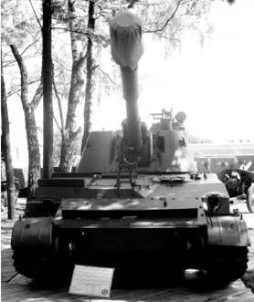 Современная Африка. Войны и оружие (2-е изд.) pic_65.jpg