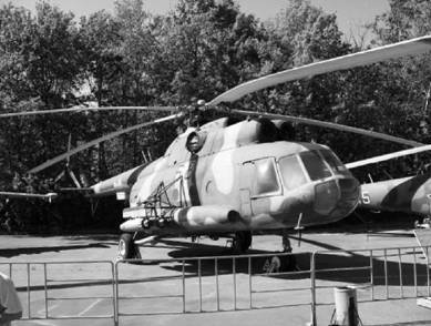 Современная Африка. Войны и оружие (2-е изд.) pic_131.jpg