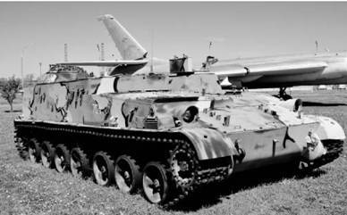 Современная Африка. Войны и оружие (2-е изд.) pic_309.jpg
