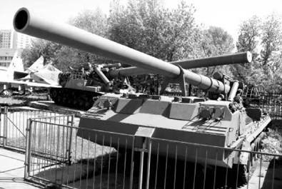 Современная Африка. Войны и оружие (2-е изд.) pic_327.jpg