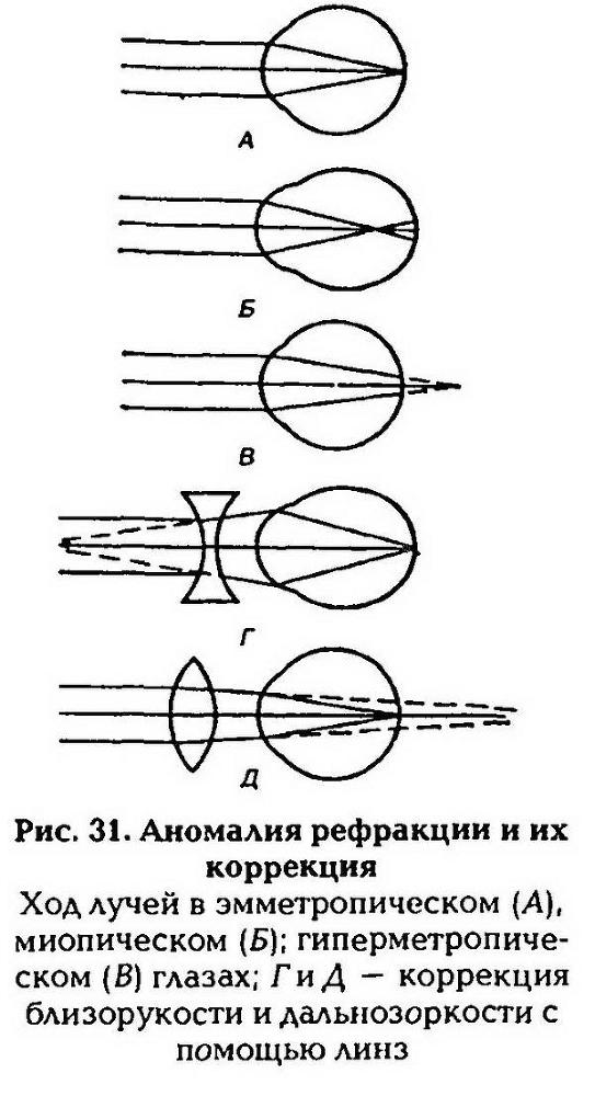Нормальная физиология _32.jpg