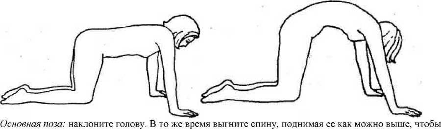 Великолепная фигура за 15 минут в день! _20.jpg