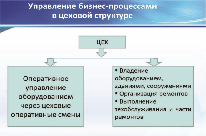 Цеховая и бесцеховая структуры управления производством. Проблемы внедрения бесцеховой структуры _10.jpg