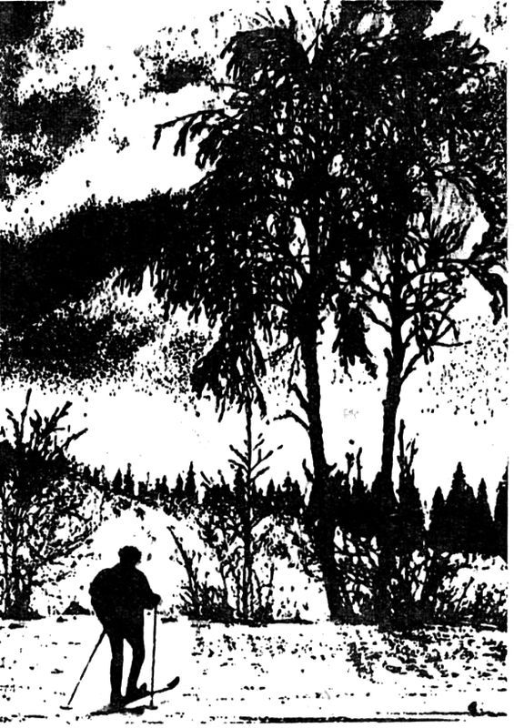 Пропавшие среди живых (сборник) i_002.jpg