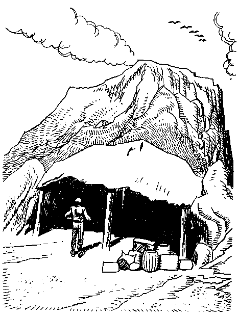 Приключения Робинзона Крузо (в пересказе для детей) i_022.png