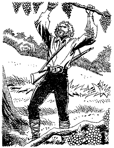 Приключения Робинзона Крузо (в пересказе для детей) i_026.png