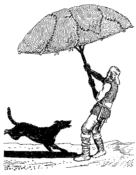 Приключения Робинзона Крузо (в пересказе для детей) i_036.png