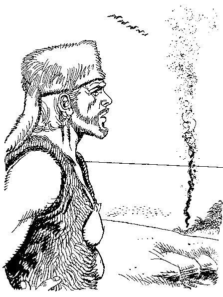 Приключения Робинзона Крузо (в пересказе для детей) i_050.png