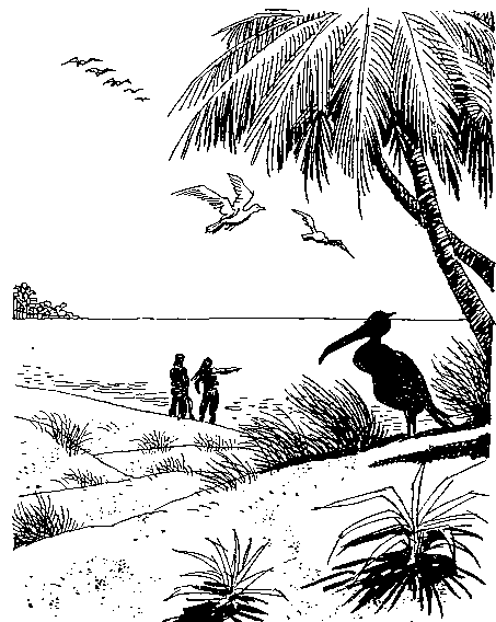 Приключения Робинзона Крузо (в пересказе для детей) i_064.png