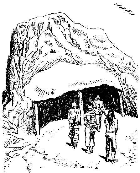 Приключения Робинзона Крузо (илл.) i_092.png