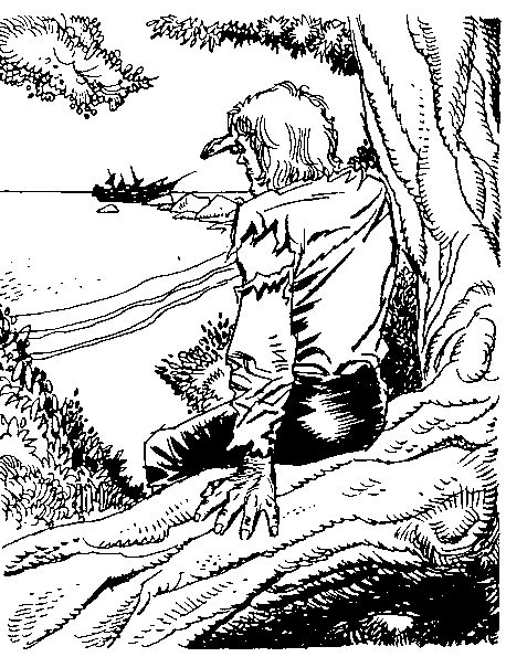 Приключения Робинзона Крузо (илл.) i_015.png