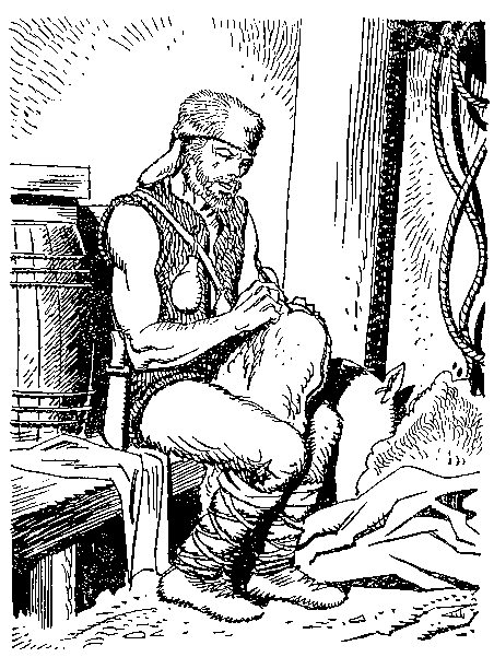 Приключения Робинзона Крузо (илл.) i_035.png