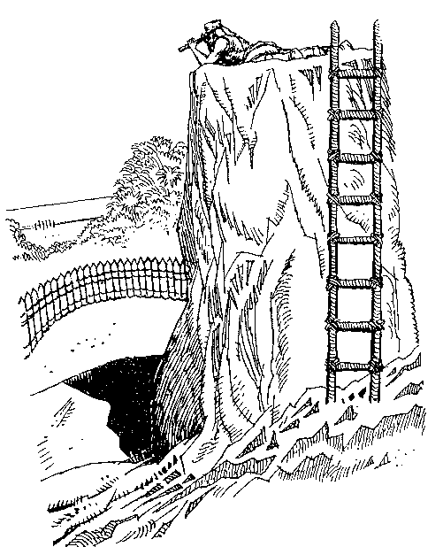 Приключения Робинзона Крузо (илл.) i_051.png