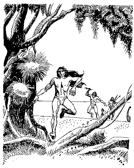 Приключения Робинзона Крузо (илл.) i_055.png
