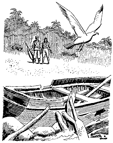 Приключения Робинзона Крузо (илл.) i_065.png