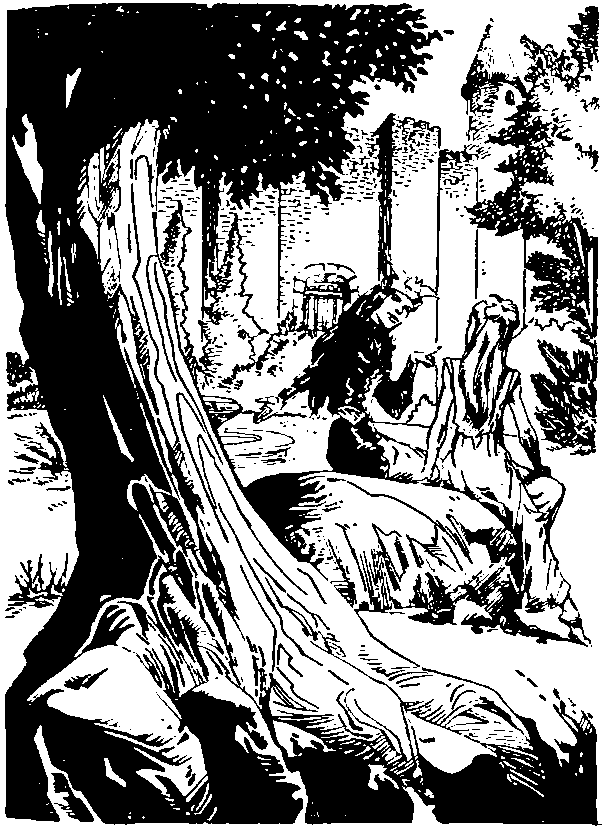 Король Артур и рыцари круглого стола i_079.png