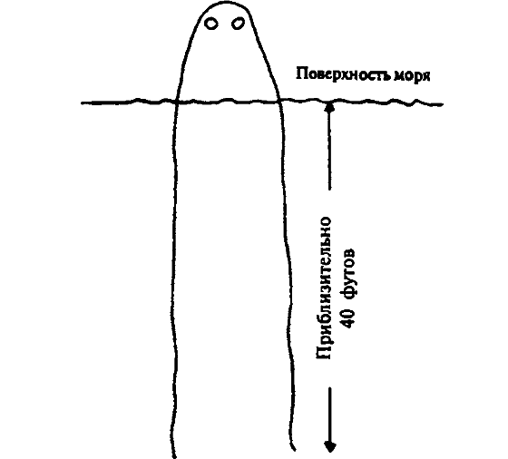 Существуют ли морские чудовища? i_026.png