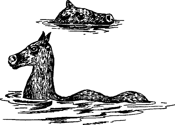 Существуют ли морские чудовища? i_031.png