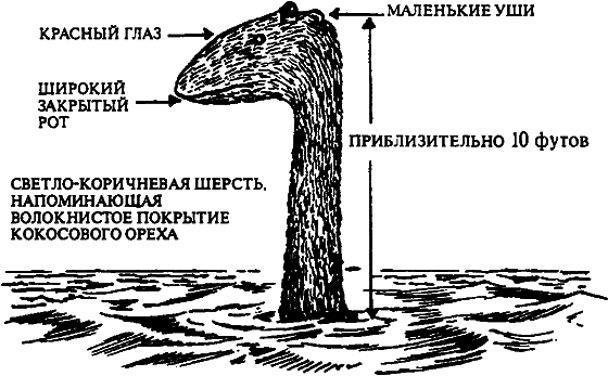 Существуют ли морские чудовища? i_032.png