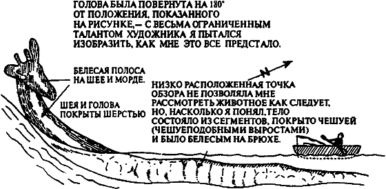 Существуют ли морские чудовища? i_035.png