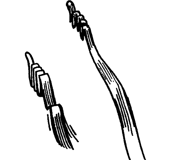 Существуют ли морские чудовища? i_037.png