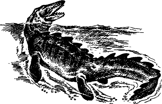 Существуют ли морские чудовища? i_040.png