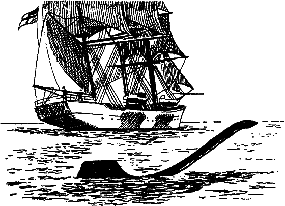 Существуют ли морские чудовища? i_043.png