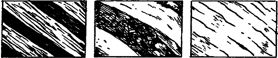Существуют ли морские чудовища? i_049.png