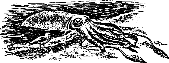 Существуют ли морские чудовища? i_051.png