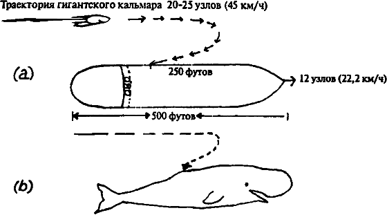 Существуют ли морские чудовища? i_052.png
