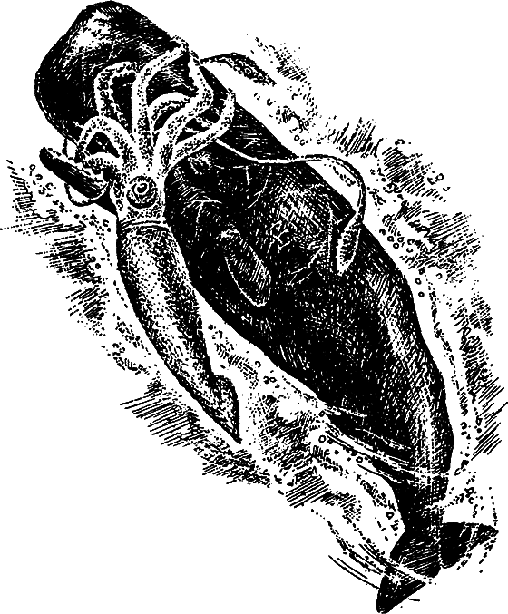Существуют ли морские чудовища? i_054.png