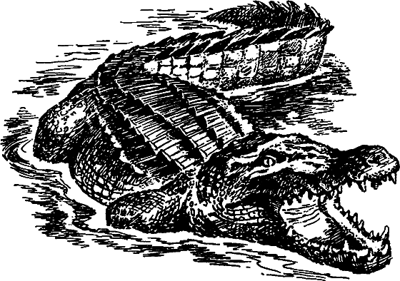 Существуют ли морские чудовища? i_056.png