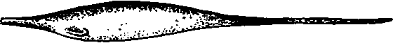 Существуют ли морские чудовища? i_062.png