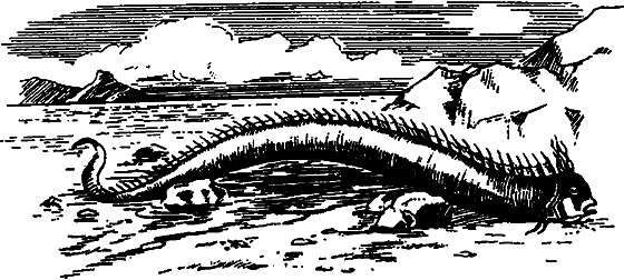 Существуют ли морские чудовища? i_064.png