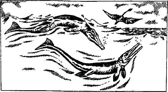 Существуют ли морские чудовища? i_069.png