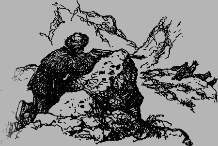 Заповедными тропами img133.png