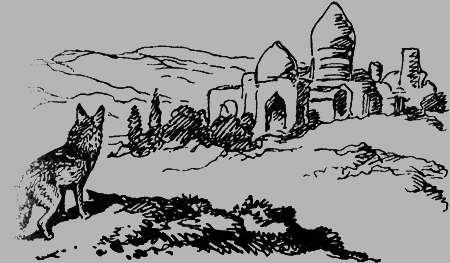 Заповедными тропами img143.png