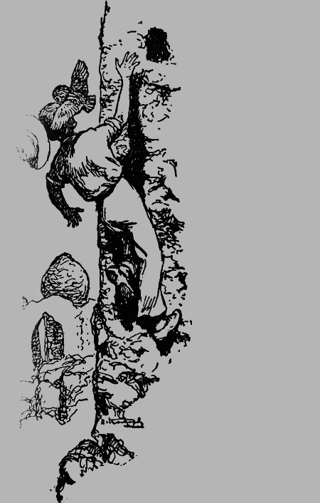 Заповедными тропами img144.png