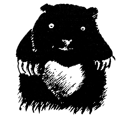 Заповедный мир Митуричей-Хлебниковых i_002.png