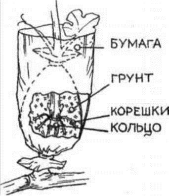 Умный виноградник для себя _12.jpg
