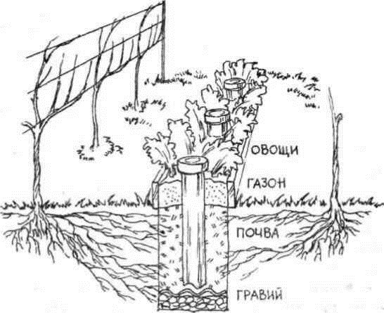 Умный виноградник для себя _15.jpg